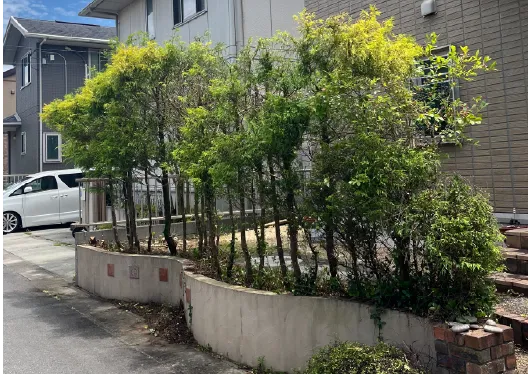青空のもと美しく整えられた住宅の庭木と外構