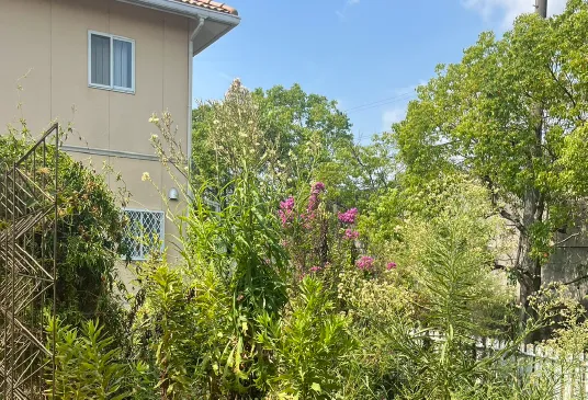緑と花が豊かに生い茂る住宅の庭風景