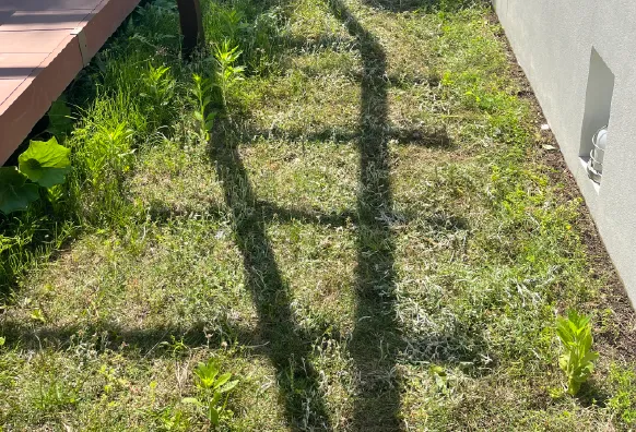 雑草が伸びて荒れてしまっている住宅横のスペース